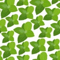 Mint pattern Royalty Free Stock Photo